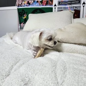 베스트 후기 이미지