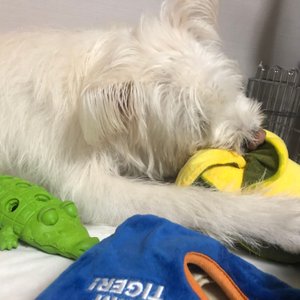 베스트 후기 이미지