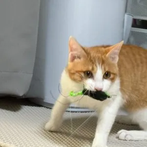 베스트 후기 이미지