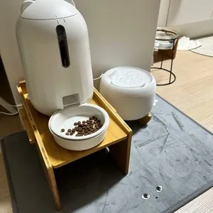 베스트 후기 이미지