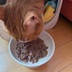 베스트 후기 이미지