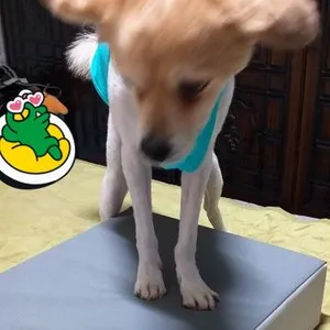 베스트 후기 이미지