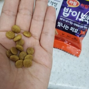 밥이보약 캣 빛나는 피모 3.4kg 베스트 후기 이미지