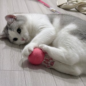 베스트 후기 이미지