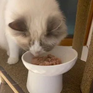 베스트 후기 이미지