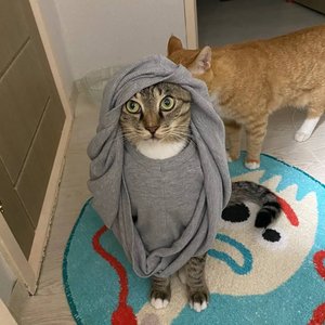 베스트 후기 이미지