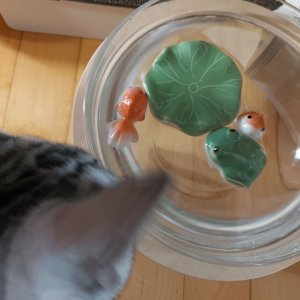 베스트 후기 이미지