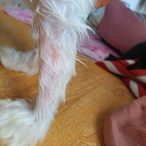 베스트 후기 이미지