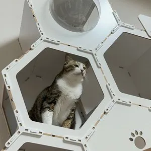 베스트 후기 이미지