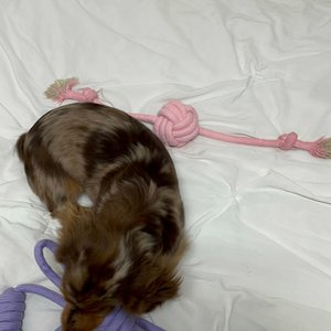 베스트 후기 이미지