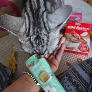 베스트 후기 이미지