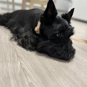 베스트 후기 이미지