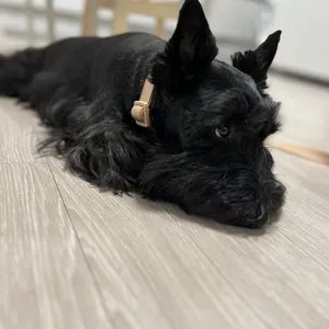 베스트 후기 이미지