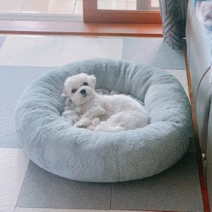 베스트 후기 이미지