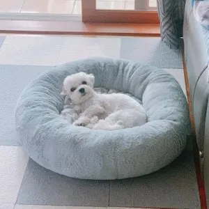 베스트 후기 이미지