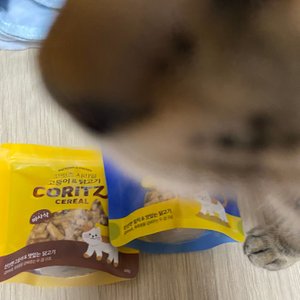 베스트 후기 이미지