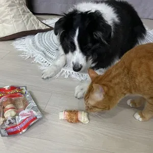 베스트 후기 이미지