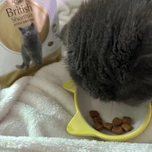 베스트 후기 이미지