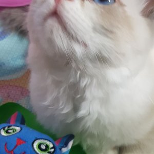 베스트 후기 이미지