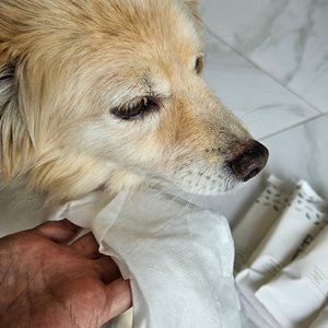 베스트 후기 이미지