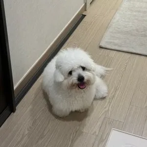 베스트 후기 이미지