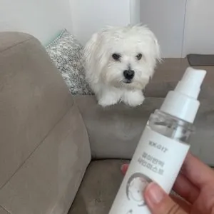 베스트 후기 이미지