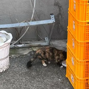 베스트 후기 이미지