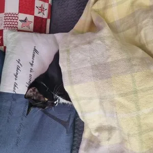 베스트 후기 이미지