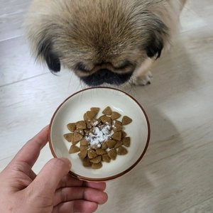 [무료배송] 피터스랩 메디퍼트 플러스 스트레스케어 웨이트컨트롤 30캡슐 베스트 후기 이미지