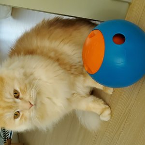 베스트 후기 이미지