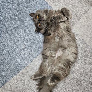 베스트 후기 이미지
