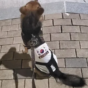 베스트 후기 이미지