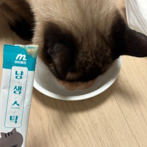 베스트 후기 이미지