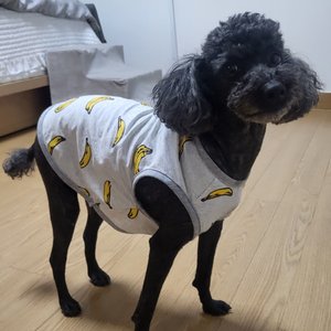 베스트 후기 이미지