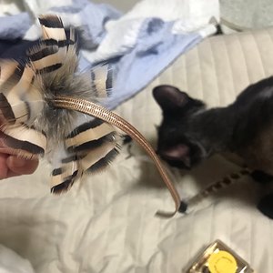 베스트 후기 이미지