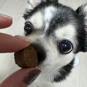 베스트 후기 이미지