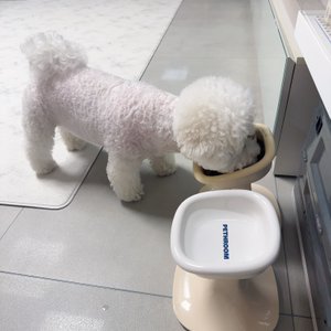 베스트 후기 이미지