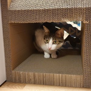 베스트 후기 이미지