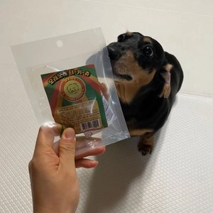 세븐펫 독 오래오래 터키츄 칠면조 힘줄 100% 껌 링타입  베스트 후기 이미지