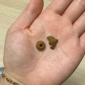 베스트 후기 이미지