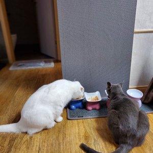 베스트 후기 이미지