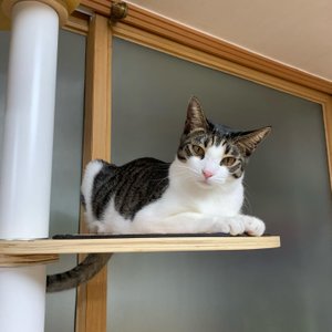 베스트 후기 이미지