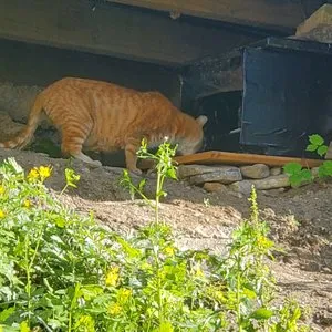 베스트 후기 이미지