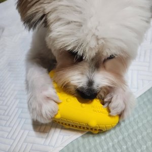 베스트 후기 이미지