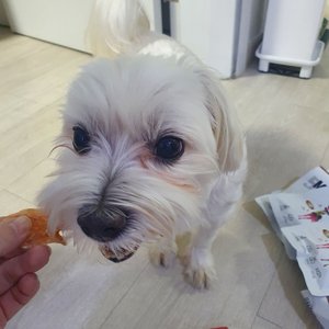 베스트 후기 이미지