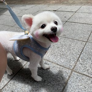 베스트 후기 이미지