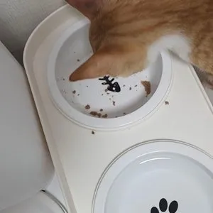 베스트 후기 이미지