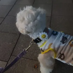 베스트 후기 이미지