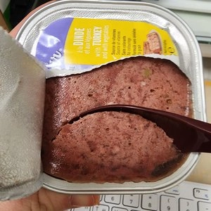 플레이저 독 습식사료 칠면조&야채 100g 베스트 후기 이미지