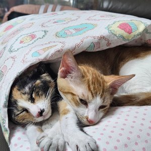 베스트 후기 이미지